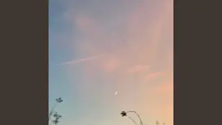 20190218