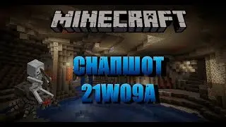 21W09A | Minecraft Snaphot 21w09a  |1.17 snapshot