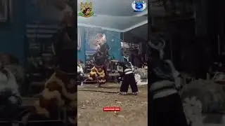 Aksi bhopo Junior BULEJA #barong #jathilanjogja #culture #trending #viral #jathil #mrbeast #tiktok