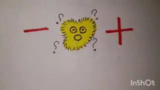 Galvanotaxis - migraci&oacute;n celular
