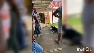 Election day  in Grenada, Carriacou and PM