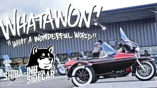 WHATAWON ツーリング【サイドカーに柴犬 #135 WHATAWON Touring】
