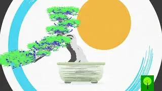 CardanoTrees - CT Bonsai Collection / Shiny Style