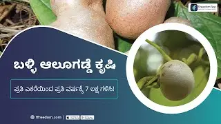 Air Potato Farming Course Trailer in Kannada - Capital Requirements, Subsidy, Raw Materials & Profit