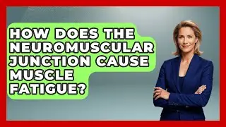 How Does The Neuromuscular Junction Cause Muscle Fatigue? - All About Anatomy Answers
