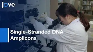 Droplet-Based Microfluidic Approach & Microsphere-PCR Amplification l Protocol Preview