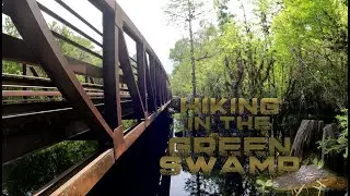 Top Florida Trail Hikes | The Florida Trail in The Green Swamp Wilderness Preserve (Part One)