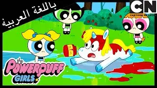 لعبة دوني | فتيات القوة | كرتون نتورك