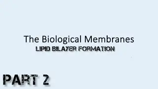 Lipid Bilayer Formation #Fluidity of Membrane #CellBiology#Biochemistry