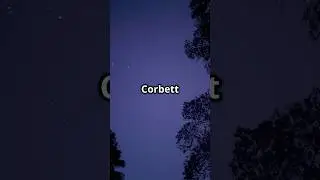 Corbett&rsquo;s Astro-Tourism Event! 🌌✨ #AstroTourism #JimCorbett #uttarakhandnews #uttarakhandtourism