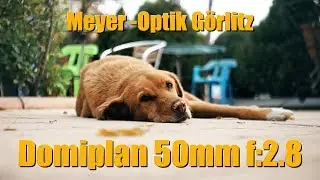 Meyer-Optik G&ouml;rlitz DOMIPLAN 50mm f/2.8 Test