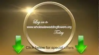 Wholesale Flowers