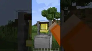 Am I Going Crazy In Minecraft