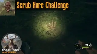 Scrub Hare Challenge theHunter Call of the Wild