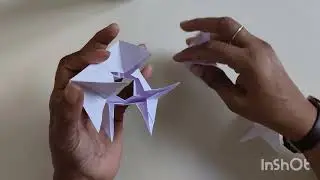 Pepper craft 