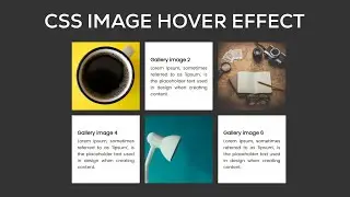CSS Image Hover Effect - How to create image hover effect