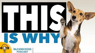 Here's Why 