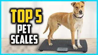 ✅Top 5 Best Pet Scales in 2025