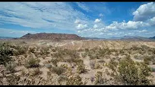 North American Desert Sounds &bull; 10 Hours Black Screen &bull; Insects & Chihuahuan Raven for Sleep