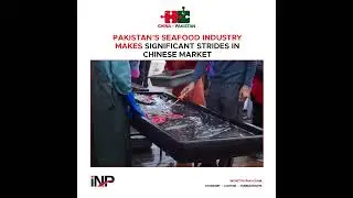 #shorts  Pakistan&rsquo;s seafood industry makes significant strides in Chinese market |INP