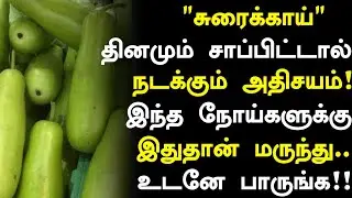 சுரைக்காய் மருத்துவ அற்புதங்கள்!! Bottle Gourd Health Benefits in Tamil| Health Tips Tamil 