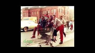 Dutch of Gotham - Dam Time