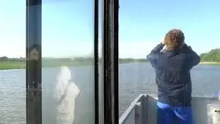 Birding by Boat on the Osprey 2021
