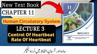 Control of Heartbeat & Rate of Heartbeat | Class 11 Biology | Chapter 11 | New Book 2025