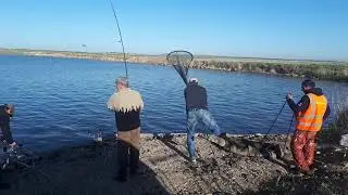 Трофей! Команда СЕНГИЛЕЙ в работе!