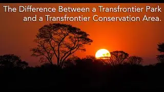 What is the Difference between a Transfrontier Park and a Transfrontier Conservation Area?