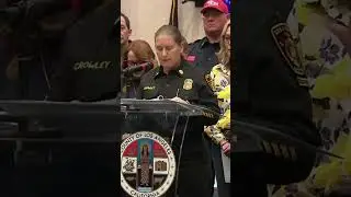 One of the most destructive wildfires in L.A.: Chief Kristin Crowley Los Angeles Police Dept.