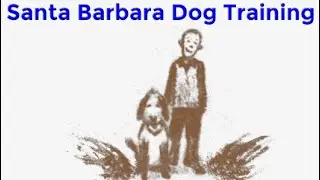 Novice Dog Training in Santa Barbara | Training Syllabus & What Your Dog Will Learn