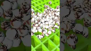 looping ballerinacappuccina face balls #ballerinacappuccina #3d #ball #animation #loop #satisfying