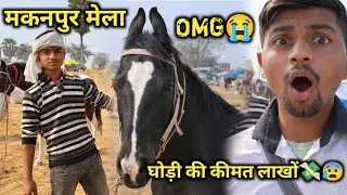 Up मकनपुर Fair We Were SHOCKED 😱 Hearing Horse Prices💸 Makanpur Fair 2026 🙏😰!!
