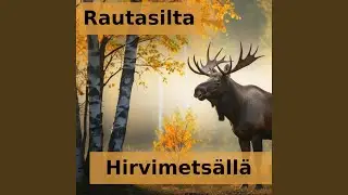 Hirvimetsällä