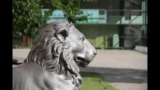 Hochschulabschl&uuml;sse in Sachsen-Anhalt steigen deutlich