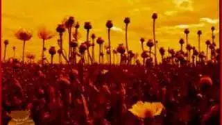 Opium - Marcy Playground
