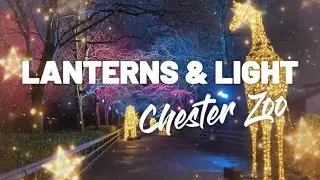 Lanterns and Light at Chester Zoo