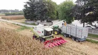 Trebbiatura Claas Lexion470 & Lexion410 |CAMPAGNOLO|