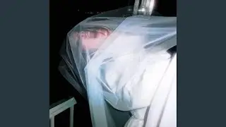 SPIDER!