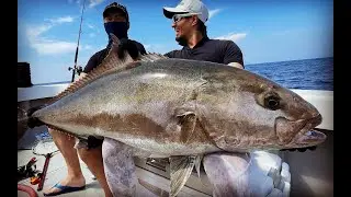 Danjo Islands Amberjack Fishing