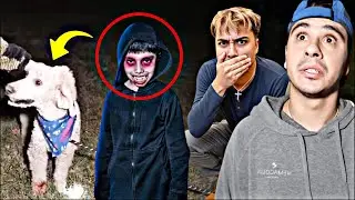 Dobre Brothers - We SAVED Our Dog From a SCARY Little Boy!