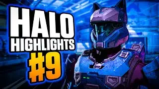 Doubles & Triples Come Easy | Complexity Halo Highlights