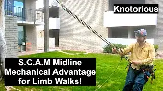 SCAM Mechanical Advantage for LIMB WALKS for Arborists & Tree Climbers!