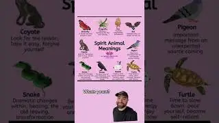 Spirit animal meanings