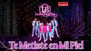 Los Bohemios de Chile - Te Metiste en Mi Piel 🥂