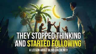 The Monkey Experiment That Exposed Human Behavior (A Powerful Life Lesson)