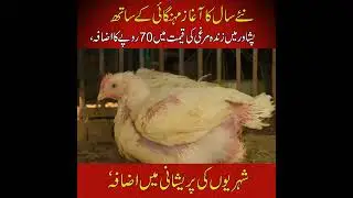 Peshawar Chicken Prize Hike|  Live Poultry Hits Rs 435/kg | Market Update