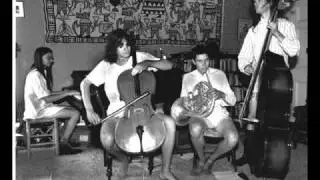 Praise Space Electric - Ornithology-Can You Play-Ornithology