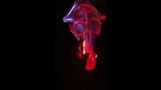 Bong gun -Plasma light - Ray Machine - Bernd Weinmayer - Roor-